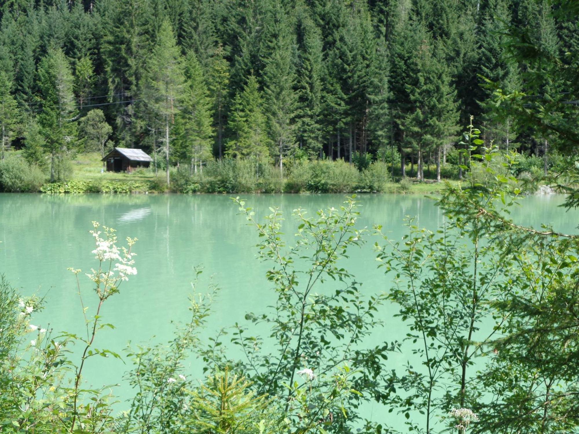 Ferienhaus Lechnerhof Schladming Bagian luar foto