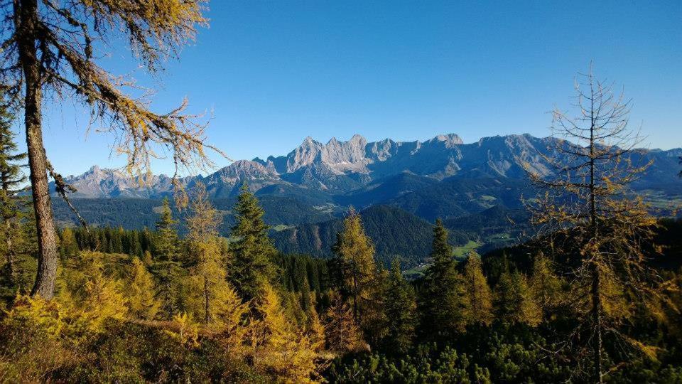 Ferienhaus Lechnerhof Schladming Bagian luar foto
