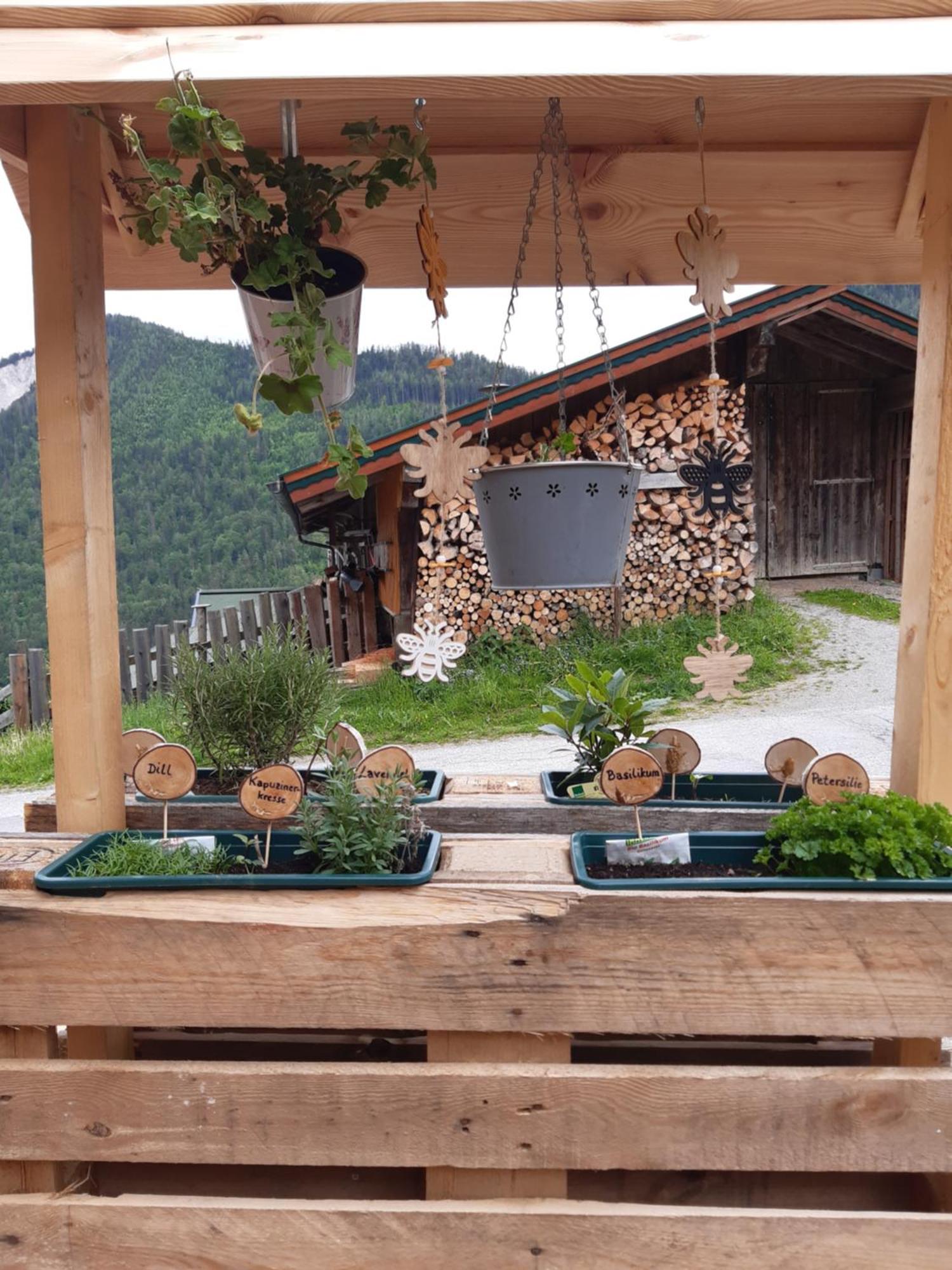 Ferienhaus Lechnerhof Schladming Bagian luar foto