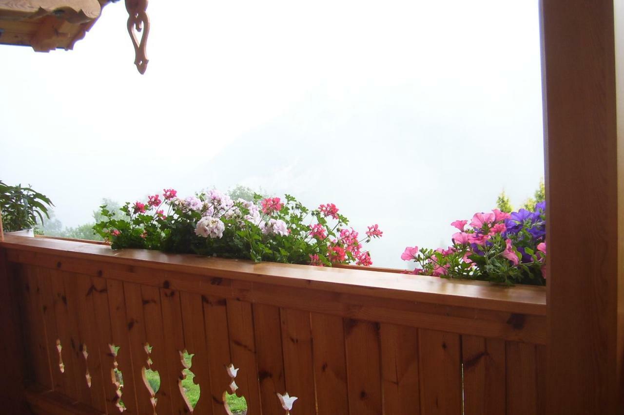 Ferienhaus Lechnerhof Schladming Bagian luar foto